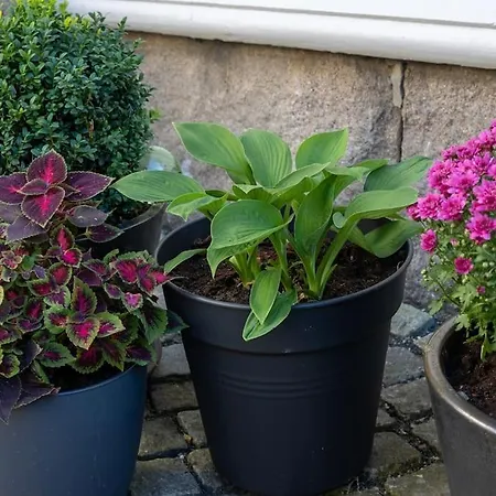 Large, Quiet And Centrally Located شقة *